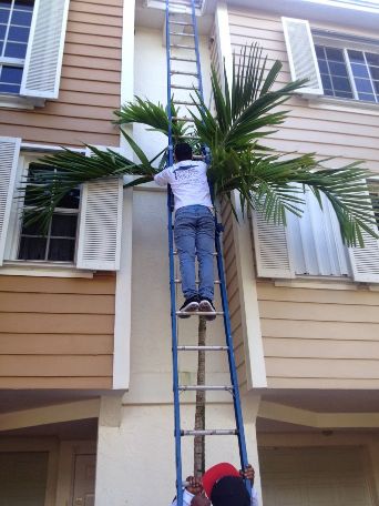 Perkins Roofing Company - Roof Repair Gallery - Roof Repair Gallery