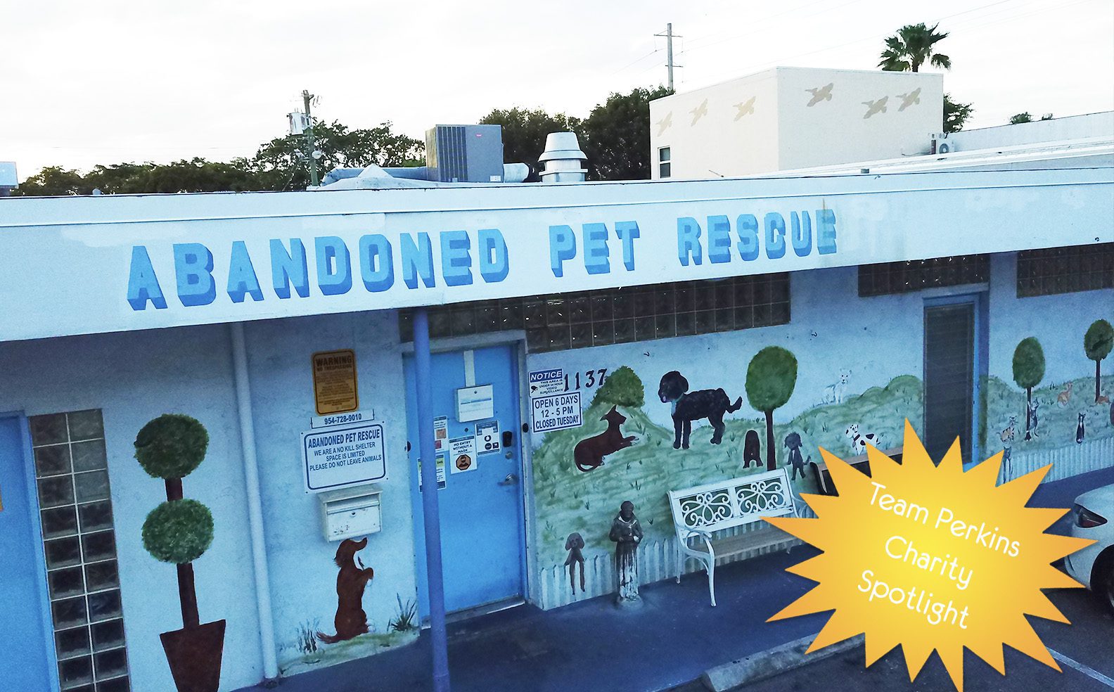 Reroofing Charity Project: Abandoned Pet Rescue -