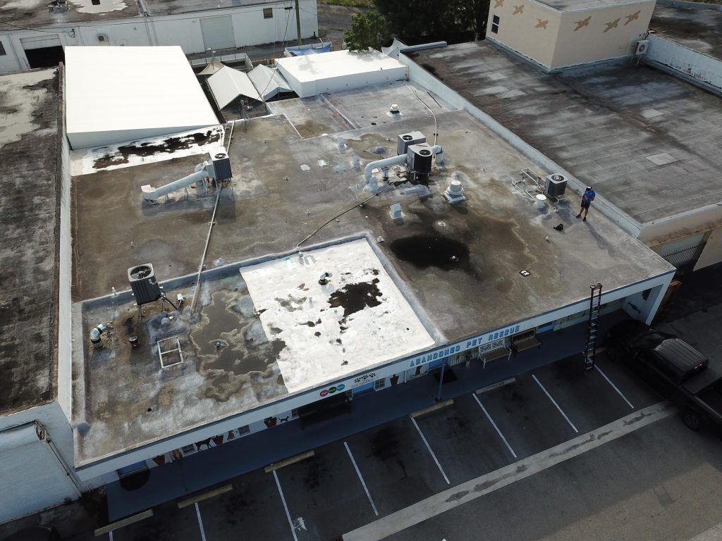 Reroofing Charity Project: Abandoned Pet Rescue -