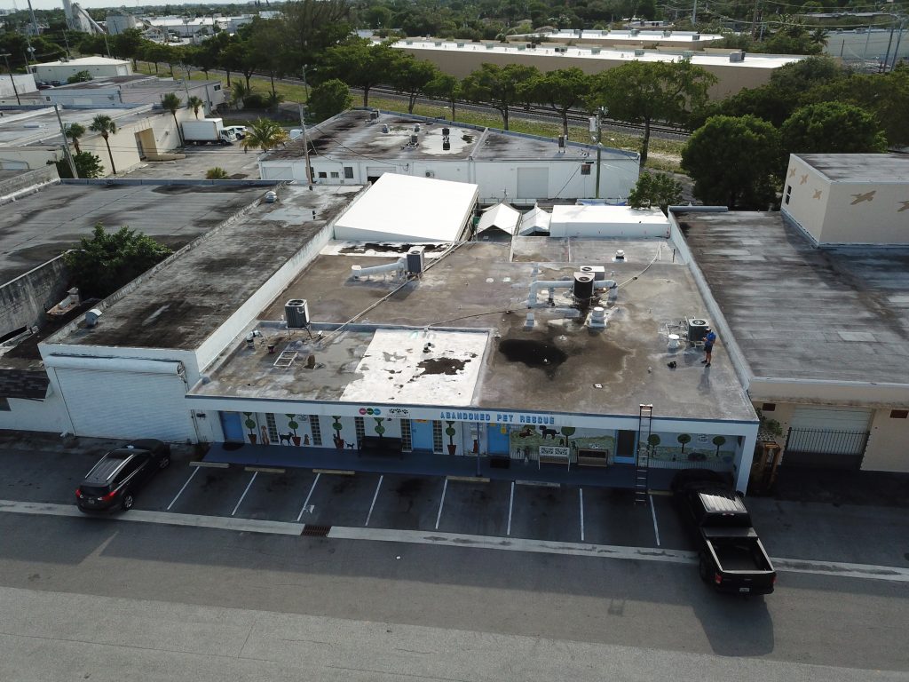 Reroofing Charity Project: Abandoned Pet Rescue -