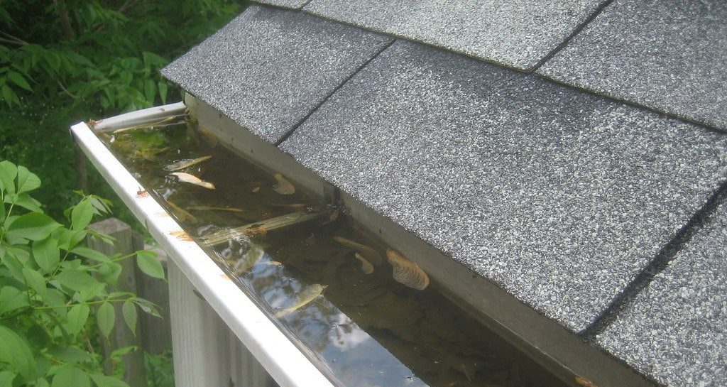 Gutter Cleaning and Maintenance