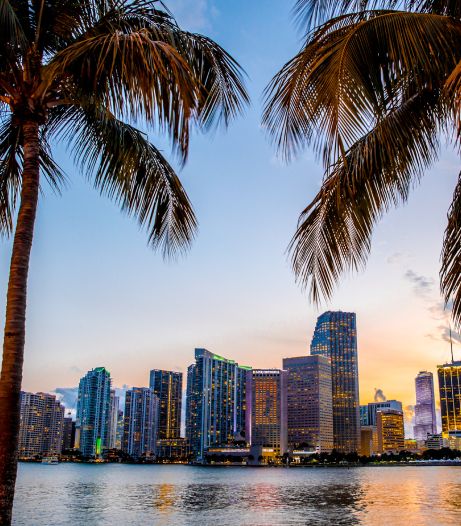 career opportunities 