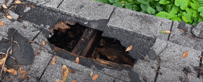 What Does a Roof Inspection Consist Of? And Why Trees Are a Major Threat 3 what does a roof inspection consist of